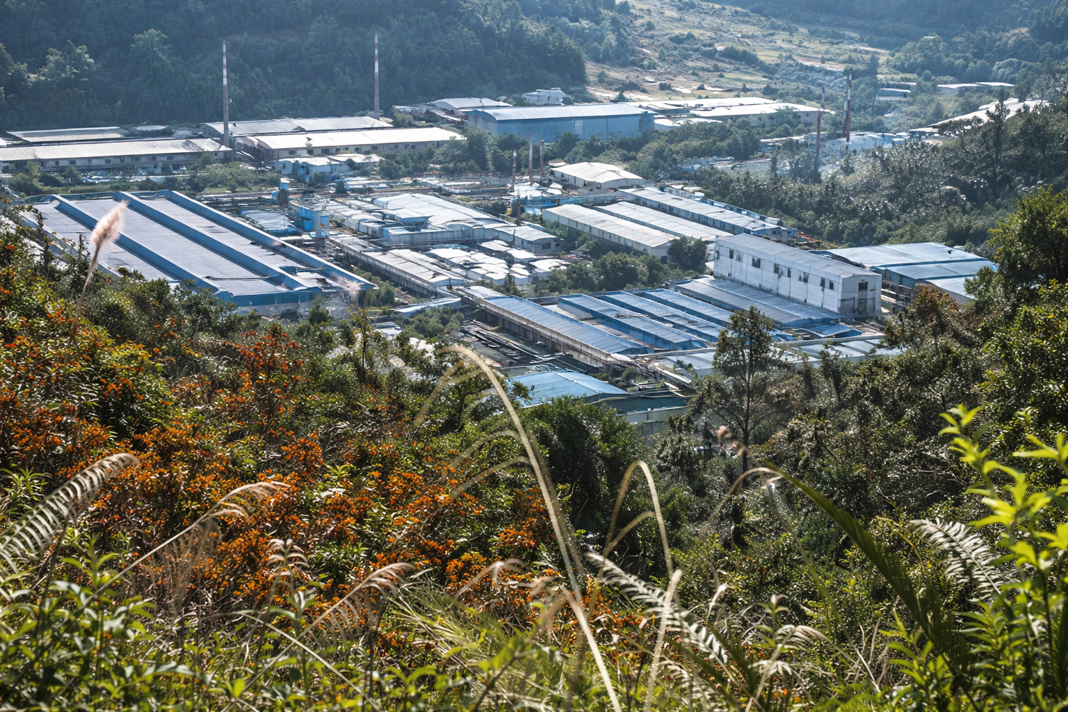 The importance of Pax Silica for India The importance of Pax Silica for India